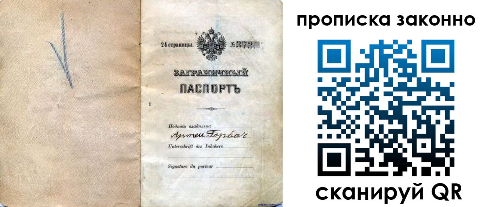 прописка 2025 в Звенигово